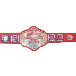 NWA TELEVISION Heavyweight Wrestling Championship Belt