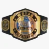 AEW World Team Championship Replica Belt