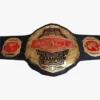 World Impact Heavyweight Wrestling Championship Replica Belt