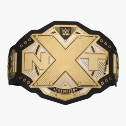 NXT Championship Replica Title Belt