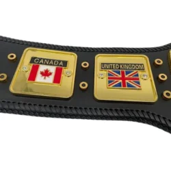 Domed Globe NWA World Heavyweight Championship Belt