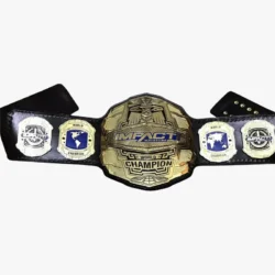 Impact World Championship Heavyweight Belt