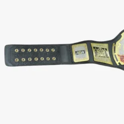 AEW TNT Championship Replica Belt