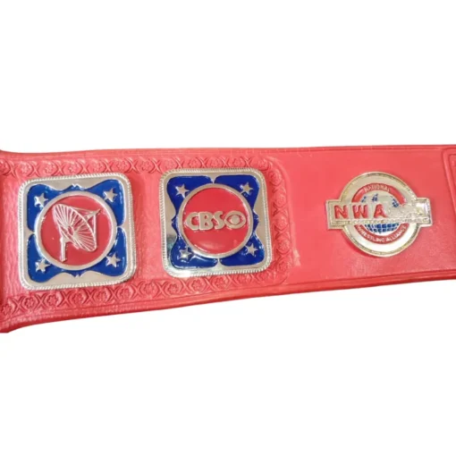 NWA TELEVISION Heavyweight Wrestling Championship Belt