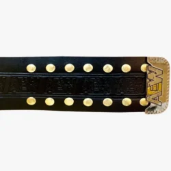 AEW Championship Replica Belt