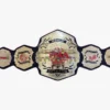 TNA WORLD Championship Wrestling Belt