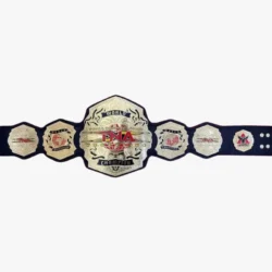 TNA WORLD Championship Wrestling Belt