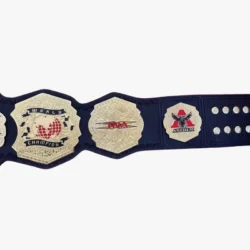 TNA WORLD Championship Wrestling Belt