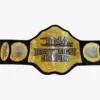 TNA Wrestling Heavyweight Championship Replica Title Belt