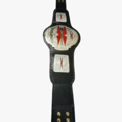 TNA X Division Championship Replica Title Belt