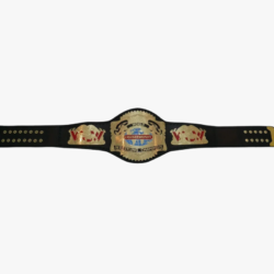 WCW Cruiserweight Wrestling Championship Replica Title Belt