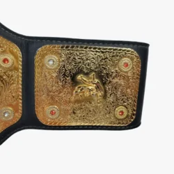 WCW International World Heavyweight Championship Replica Belt