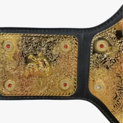 WCW International World Heavyweight Championship Replica Belt