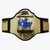 WCW World Television Championship Replica Title Belt