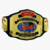 WCW World Television Championship Wrestling Title Belt