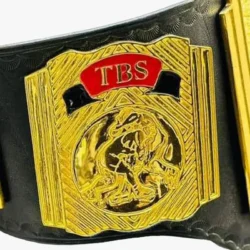 WCW World Television Championship Wrestling Title Belt