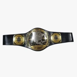 WWE NXT North American Championship Title Belt