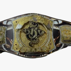 WWE NXT Randy Orton Spinner Championship Replica Belt