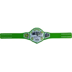 WWF D-generation X Championship Belt Replica